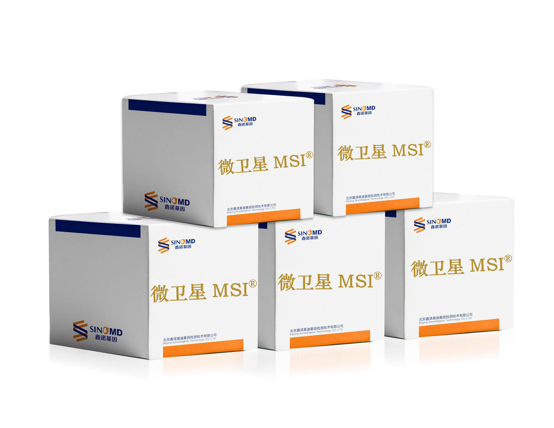 人微卫星不稳定性(MSI)基因检测试剂盒