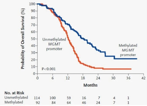 MGMT甲基化预后好.png