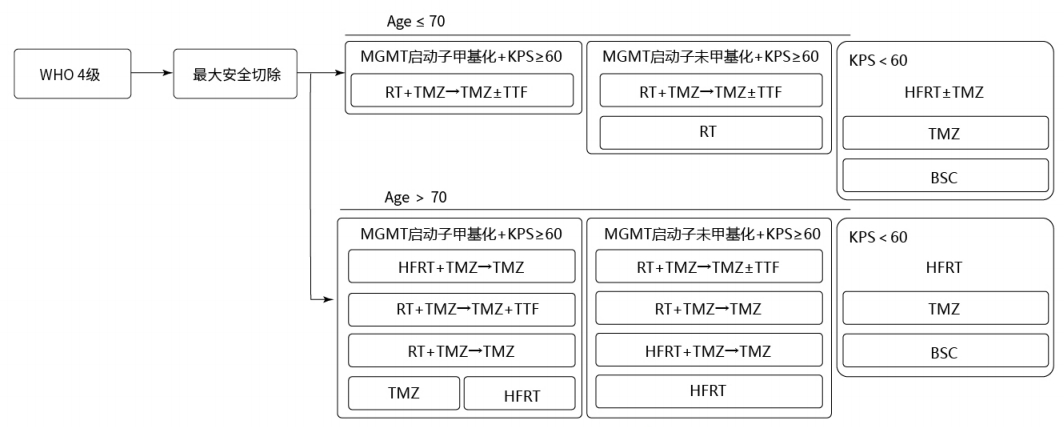 MGMT甲基化指导化疗.png