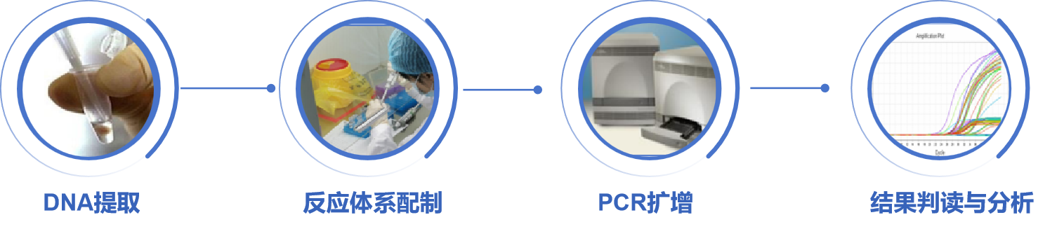 PCR检测流程.png