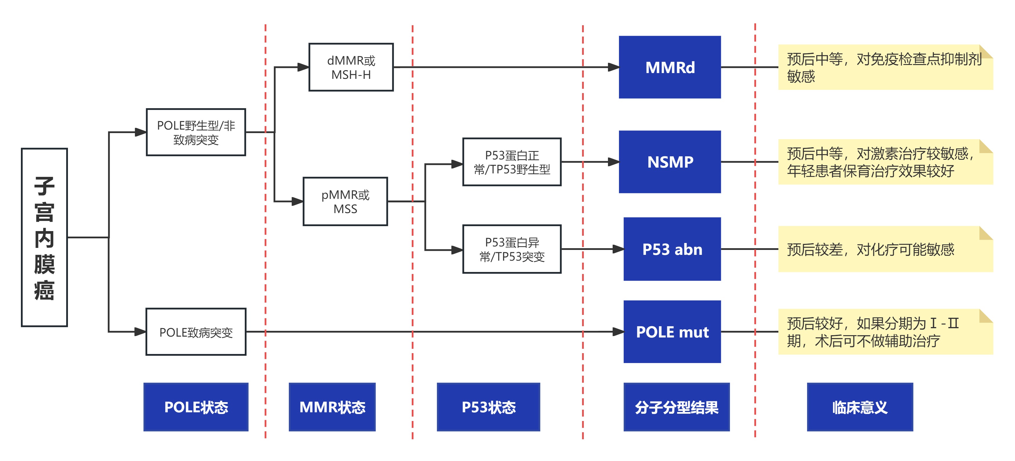 子宫内膜癌.jpg