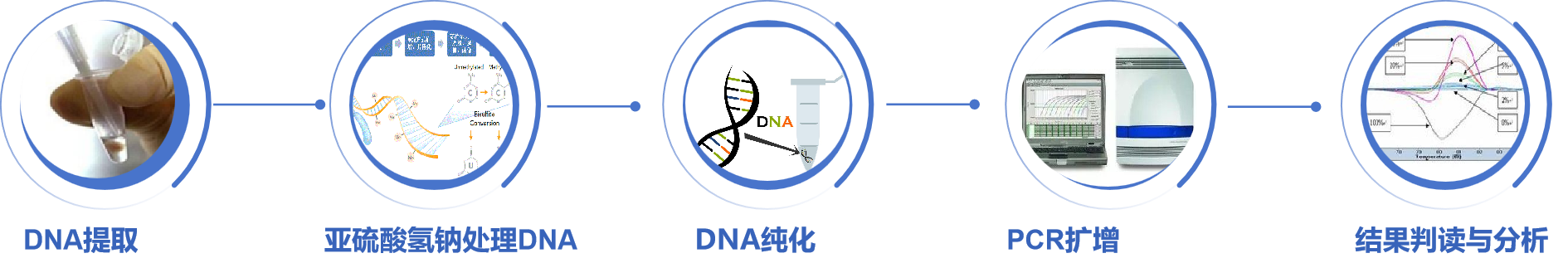 甲基化特异性PCR.png