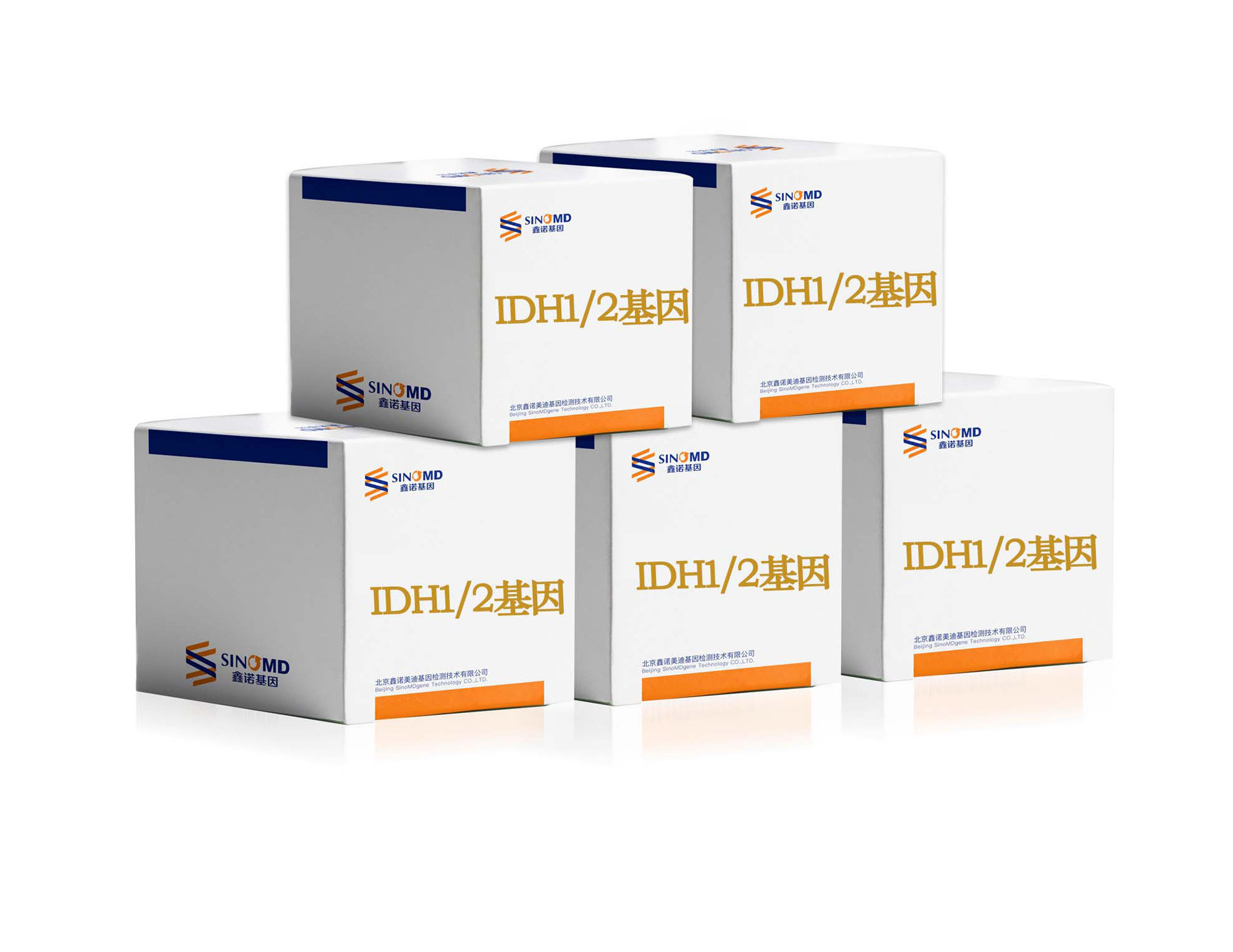 IDH1/2 基因突变检测试剂盒
